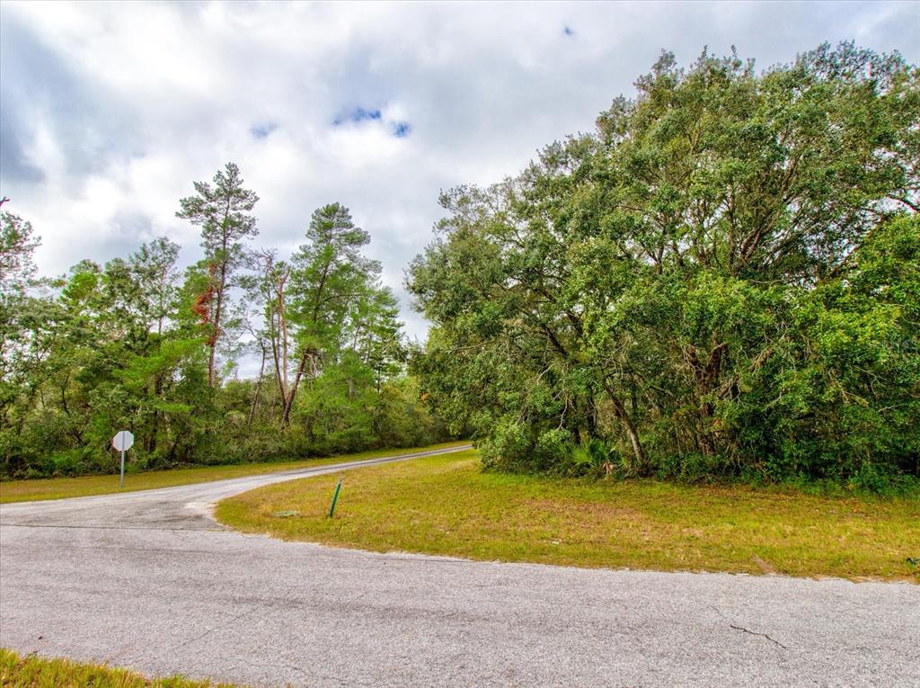 0 Southwest 148th Place Road Ocala, FL 34473 - Photo 47 of 55 a view of a swimming pool and trees in the background