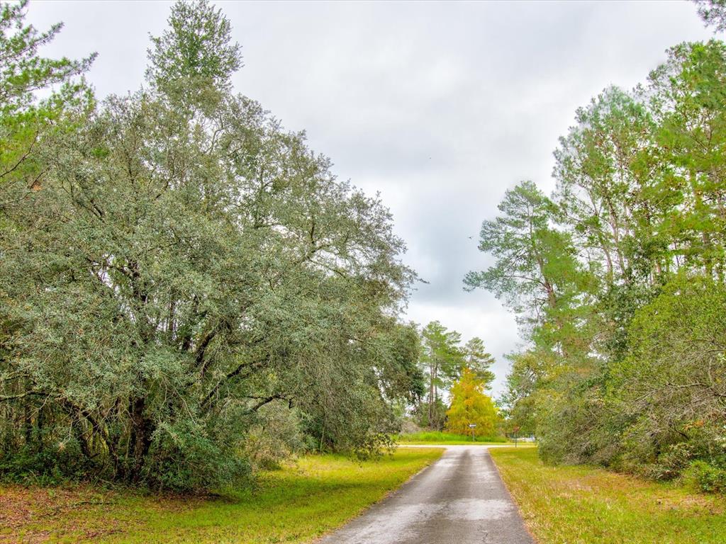 0 Southwest 148th Place Road Ocala, FL 34473 - Photo 50 of 55 a view of yard with green space