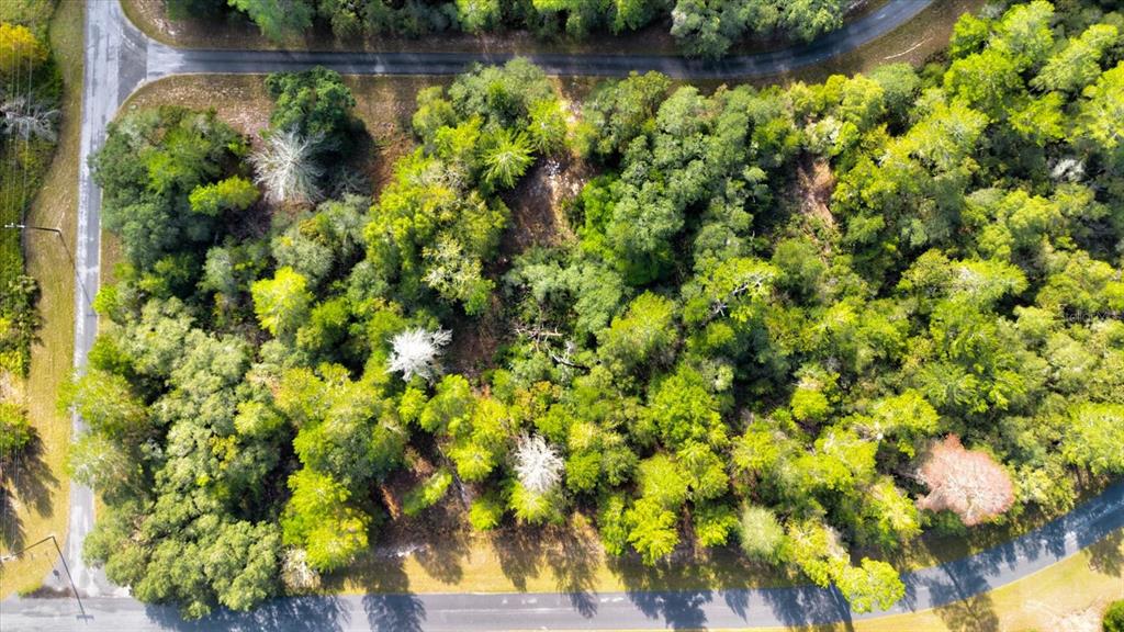0 Southwest 148th Place Road Ocala, FL 34473 - Photo 5 of 55 a view of a garden