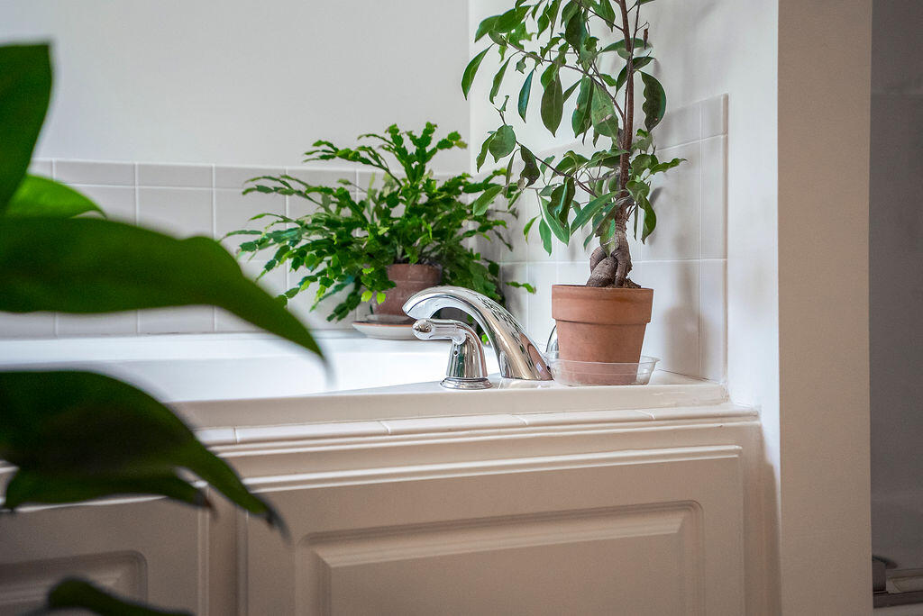 2686 New Hope Circle Hephzibah, GA 30815 - Photo 45 of 74 ©MeghannPadgett_2686NewHopeCircle-43