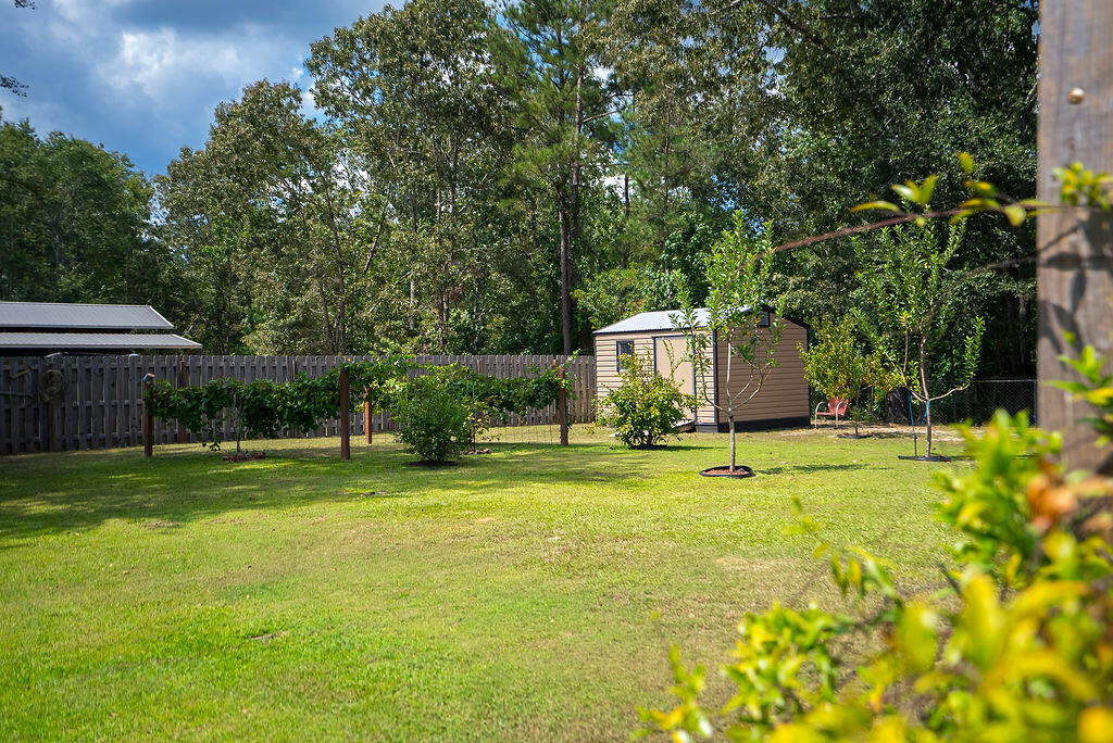 2686 New Hope Circle Hephzibah, GA 30815 - Photo 62 of 74 ©MeghannPadgett_2686NewHopeCircle-62