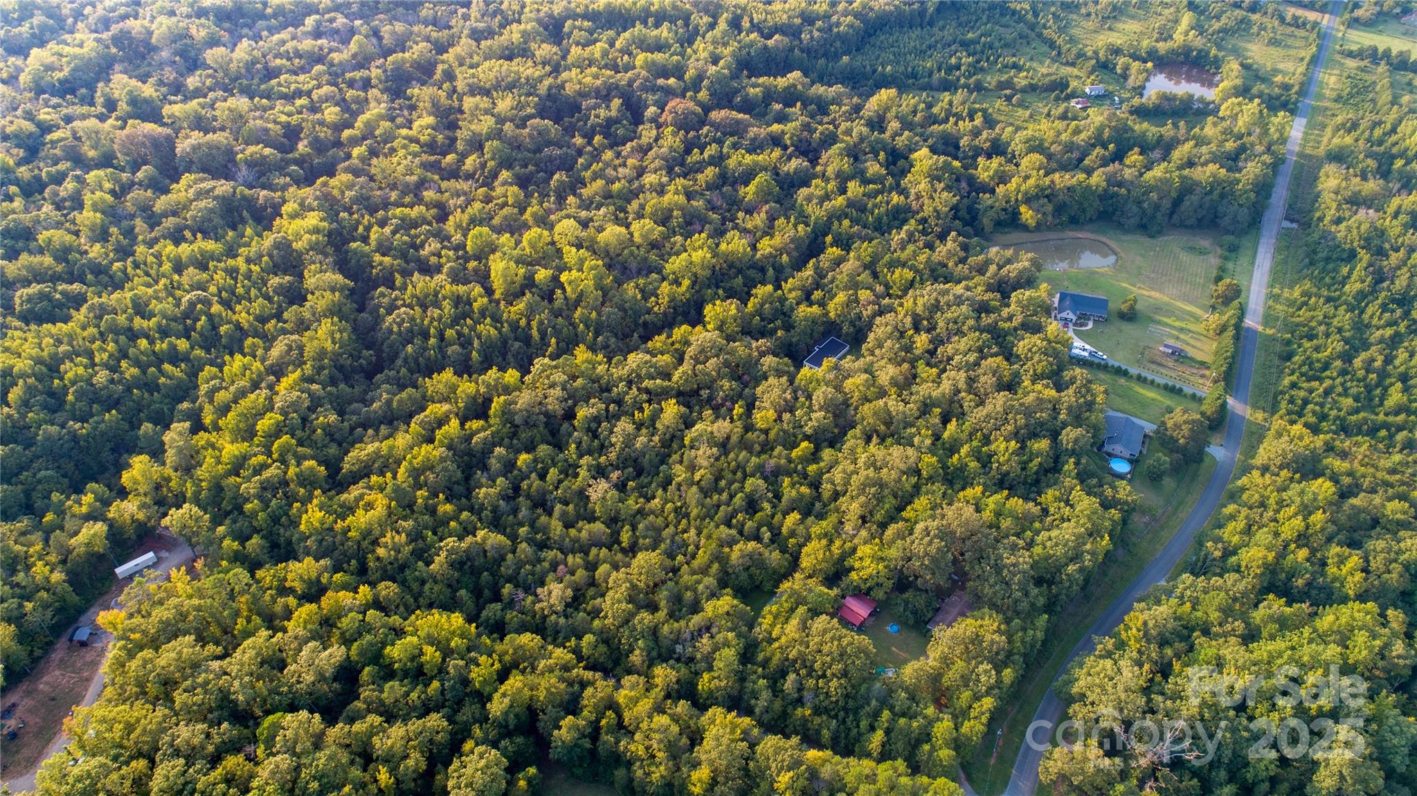 9224 Maggie Robinson Road Waxhaw, NC 28173 - Photo 10 of 42