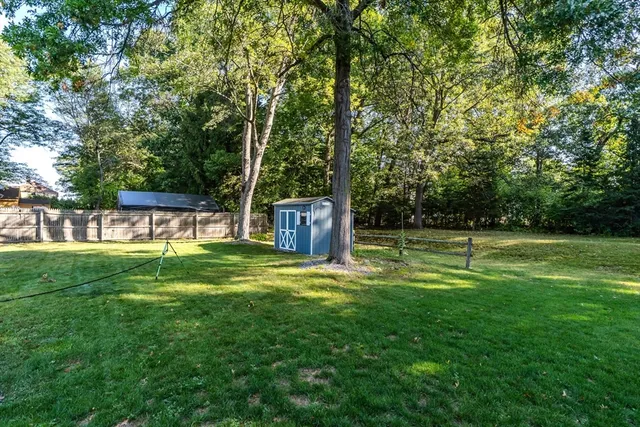 a view of a park with large trees
