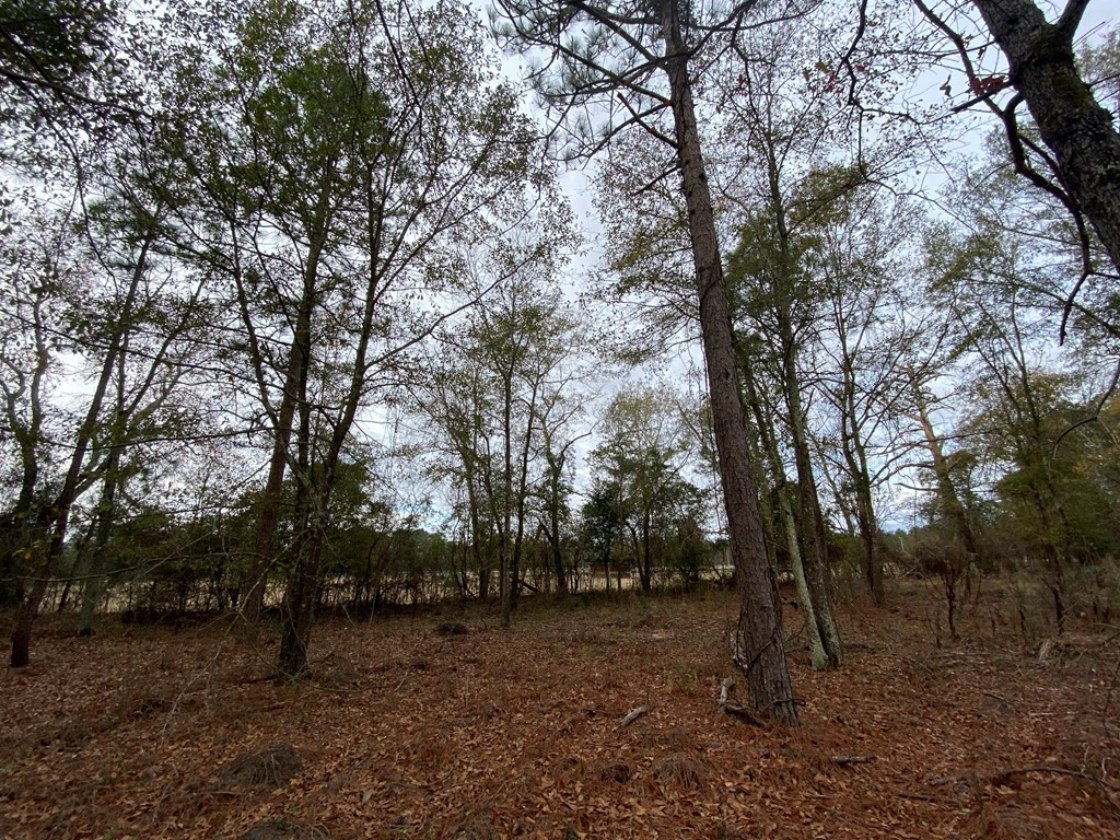 2.44-acres Bacon Road Aiken, SC 29805 - Photo 2 of 6