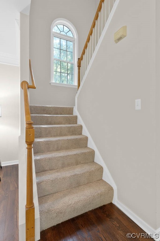 14300 Princess Mary Road Chesterfield, VA 23838 - Photo 22 of 40 Gallery Image 22