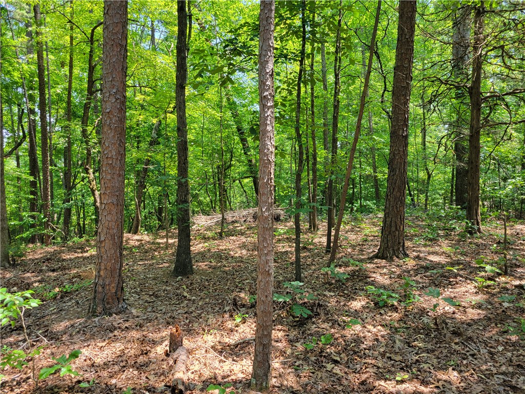 306 Foxfire Road Central, SC 29630 - Photo 10 of 12