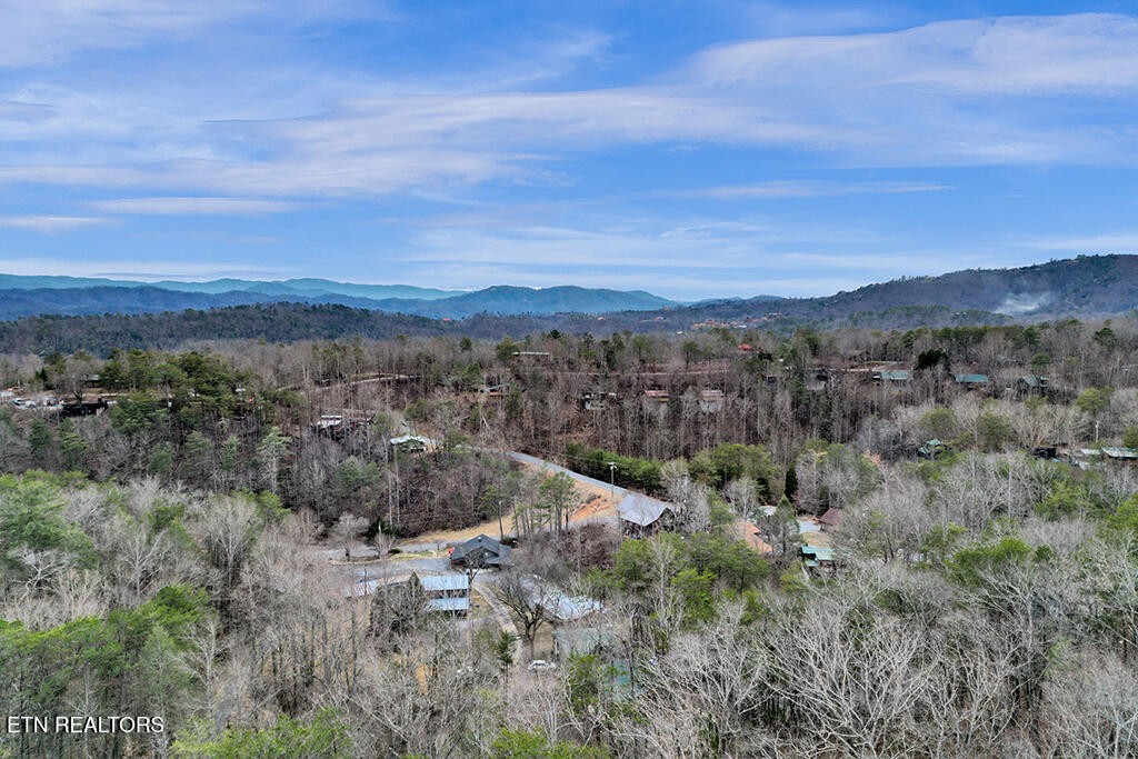 1619 South Mountain View Road Sevierville, TN 37876 - Photo 38 of 38