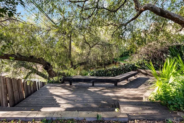 a view of a yard with potted plants and large trees