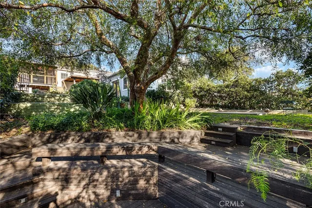 a view of a yard with plants and trees