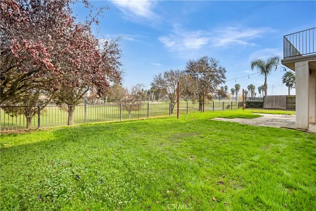 a view of a park with large trees and a big yard