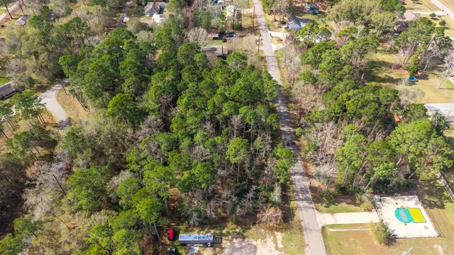 a view of a yard with plants