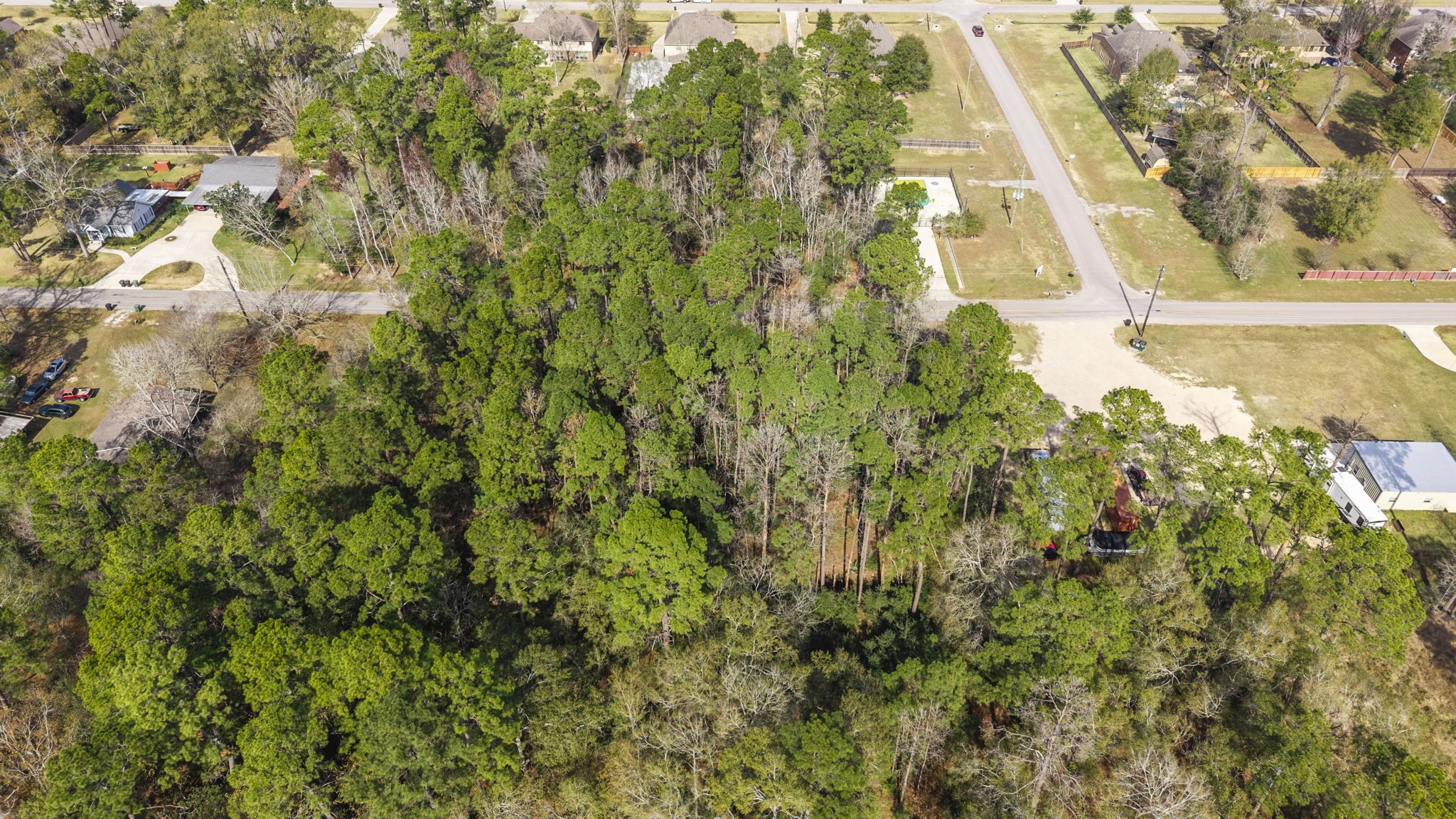 344 Magnolia Point Drive Huffman, TX 77336 - Photo 14 of 17 a view of a yard with plants