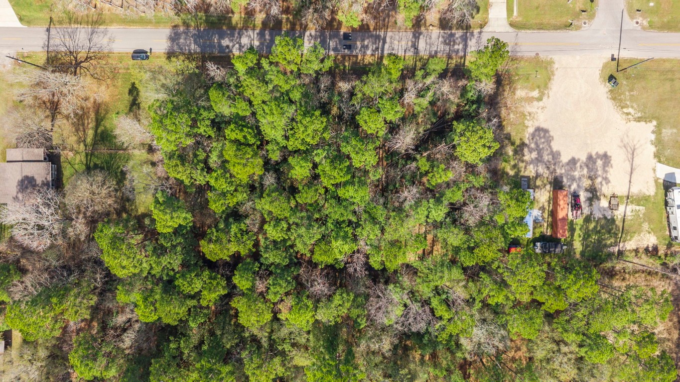 0 Magnolia Point Drive Huffman, TX 77336 - Photo 15 of 17 a view of a garden