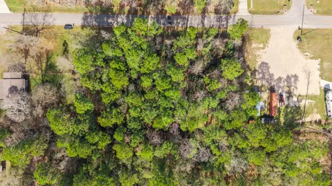 a view of a yard with large trees