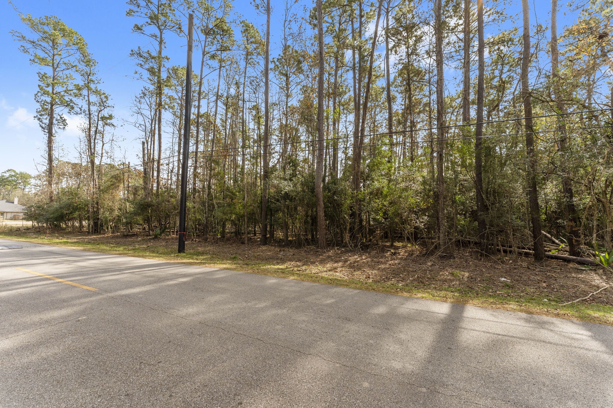 344 Magnolia Point Drive Huffman, TX 77336 - Photo 16 of 17 a view of a yard with large trees