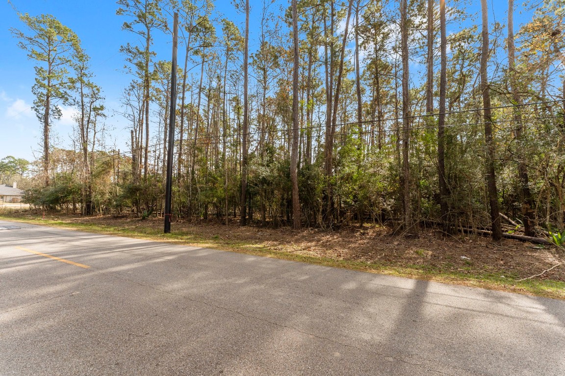 0 Magnolia Point Drive Huffman, TX 77336 - Photo 16 of 17 a view of a yard with large trees