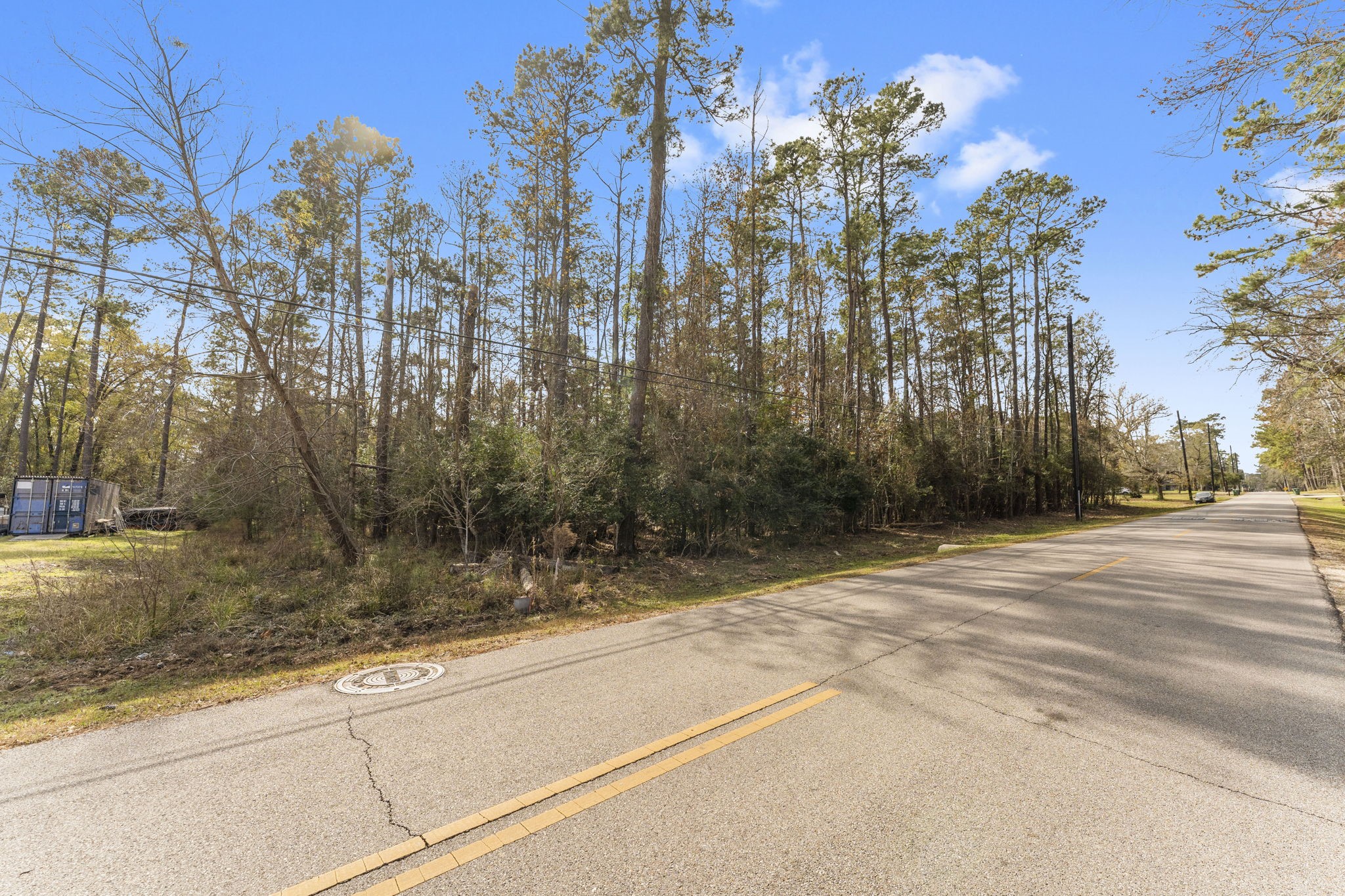 344 Magnolia Point Drive Huffman, TX 77336 - Photo 17 of 17 a view of a backyard of the house