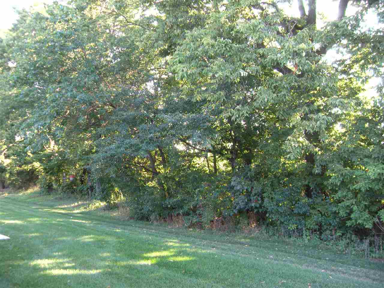 10337 Marblewing Road Roscoe, IL 61073 - Photo 5 of 14 a view of a lush green forest