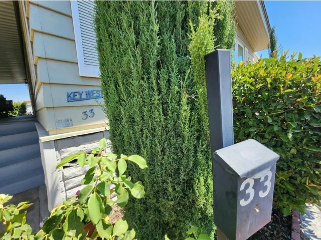 a view of a back yard of the house