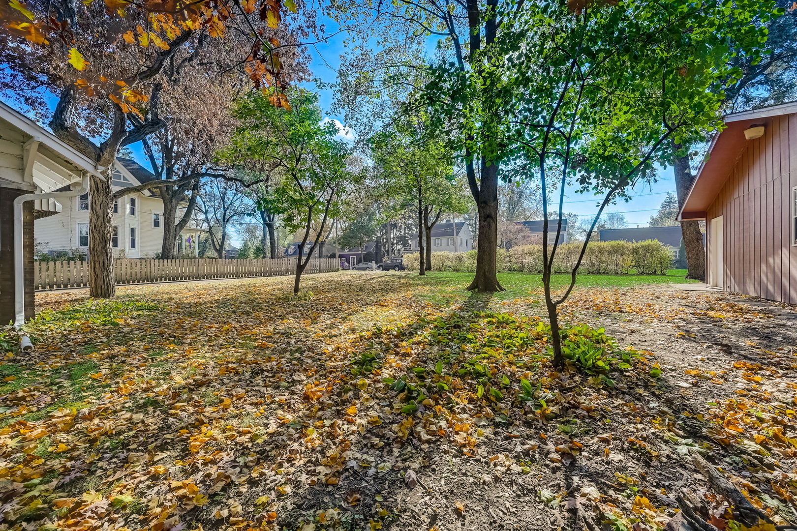 362 River Bluff Road Elgin, IL 60120 - Photo 47 of 57 a view of yard with tree