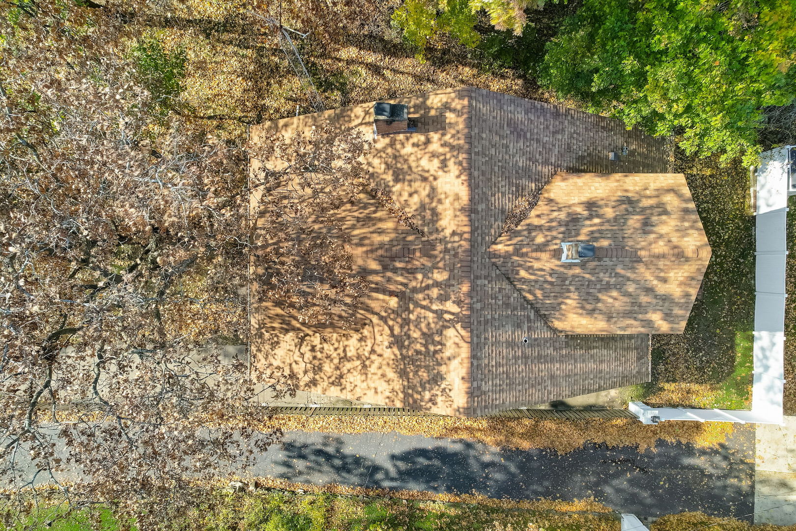 362 River Bluff Road Elgin, IL 60120 - Photo 51 of 57 a view of yard with trees