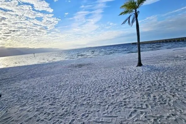 a view of a dry yard with wooden fence