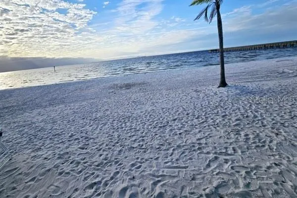 a view of a dry yard