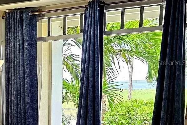 a view of a garden from a window