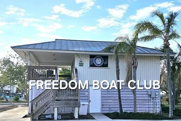 a garden with plants and large trees