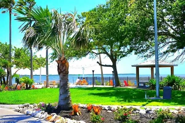 a view of a house with a big yard and palm trees