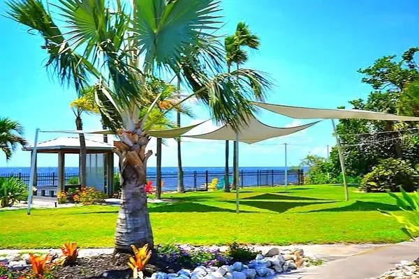 a view of a garden with a tree