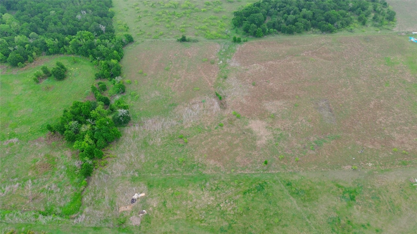1745 County Road 466 Elgin, TX 78621 - Photo 7 of 7 a view of a yard with a tree