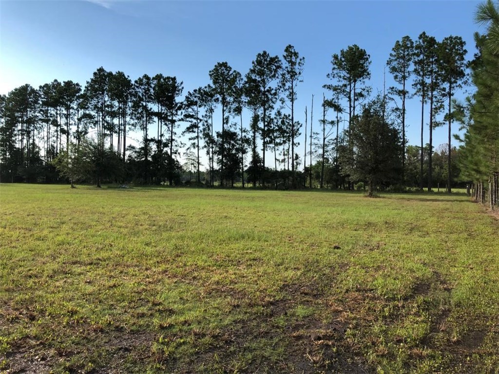 18465 Broken Arrow Road Hilliard, FL 32046 - Photo 3 of 8 a view of a yard with a tree