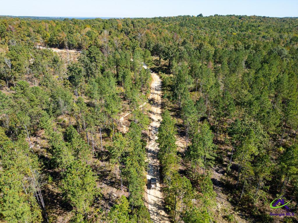 Ohp Dominy Road Toomsboro, GA 31090 - Photo 20 of 24