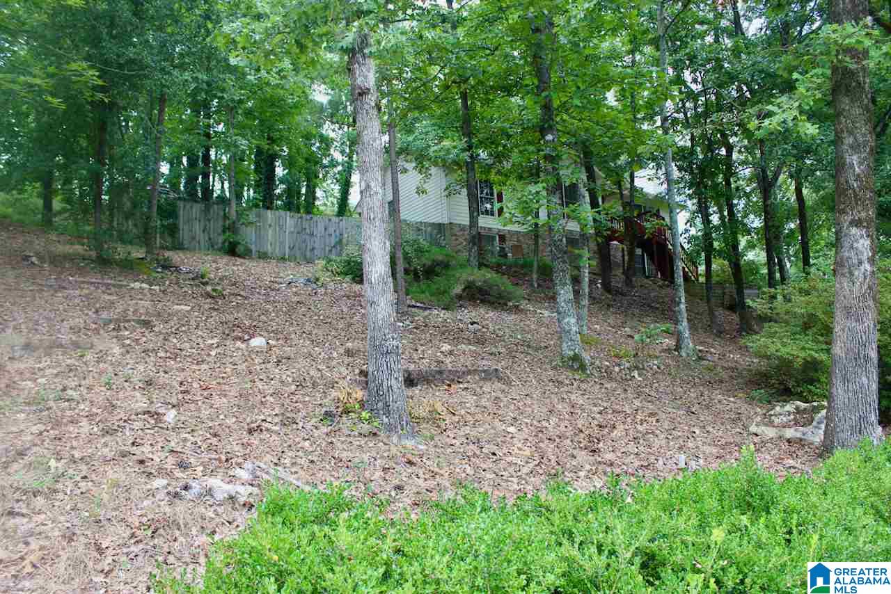 824 Round Hill Road Pelham, AL 35124 - Photo 24 of 27