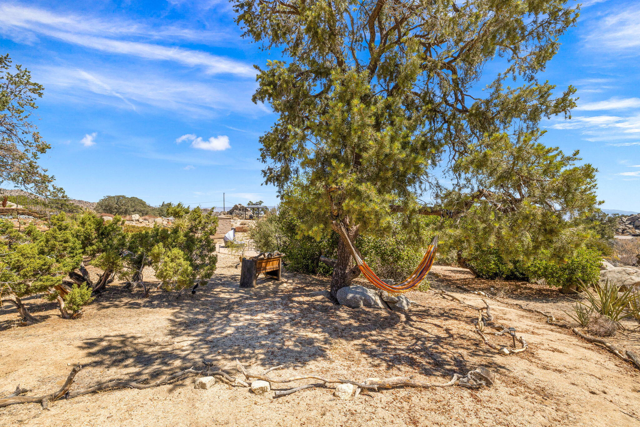 60150 Santa Rosa Road Mountain Center, CA 92561 - Photo 54 of 62 a view of a tree with a yard