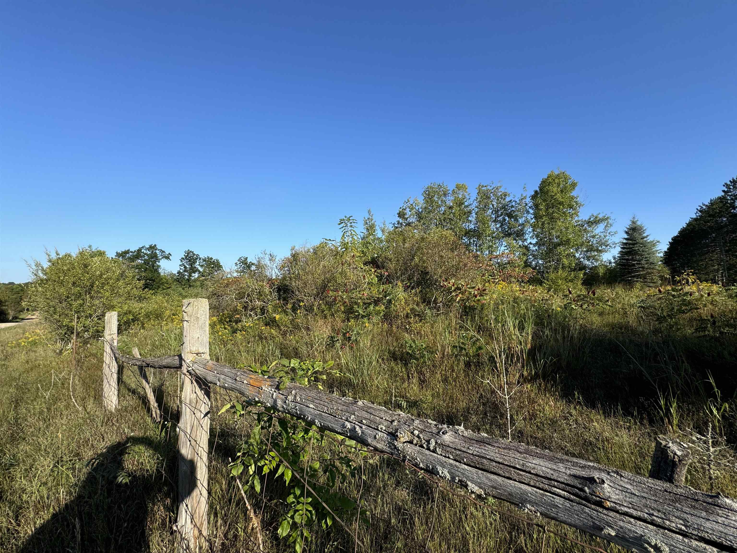 Tbd McGilvery Lake Road Gladwin, MI 48624 - Photo 11 of 30