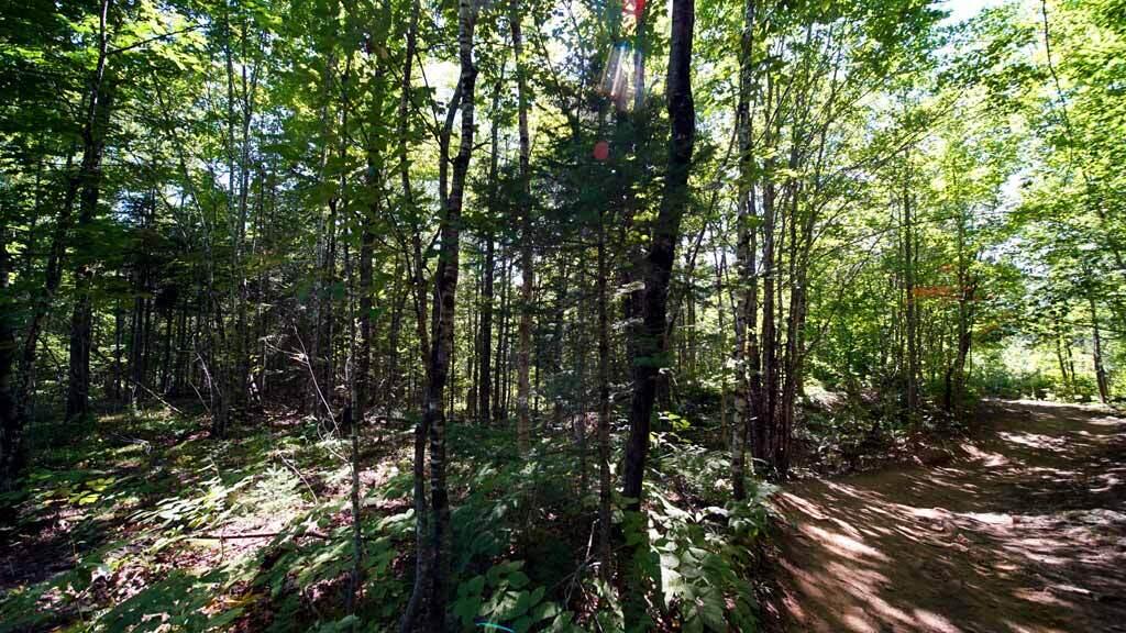 1025 Dyer Brook Road Dyer Brook, ME 04747 - Photo 18 of 39 dyer-brook-me-farm-06