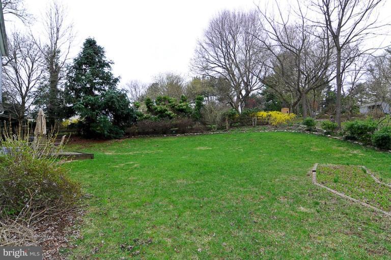 Back yard
