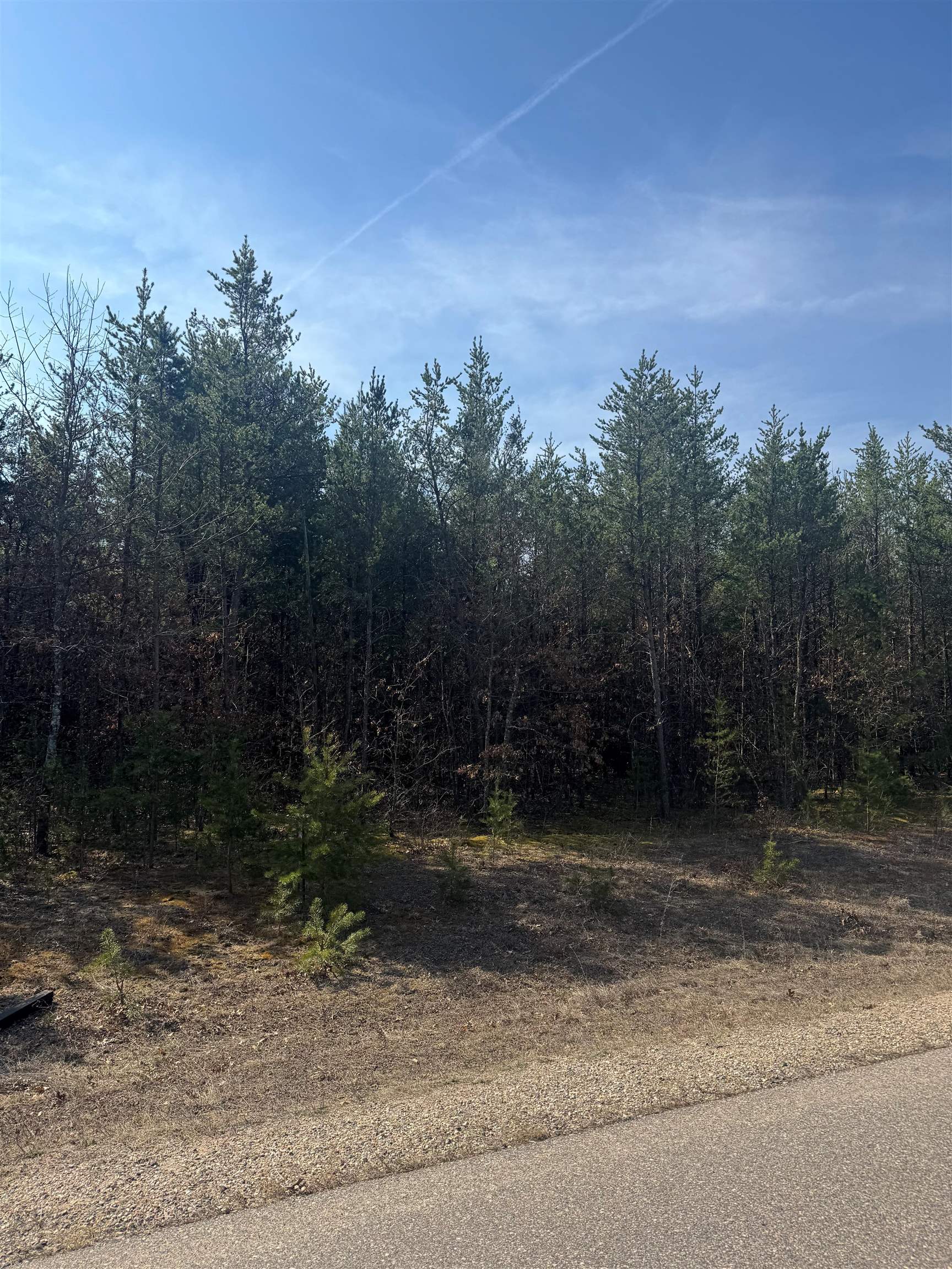 Lot 30 Red Tail Hawk Drive Stevens Point, WI 54482 - Photo 1 of 2