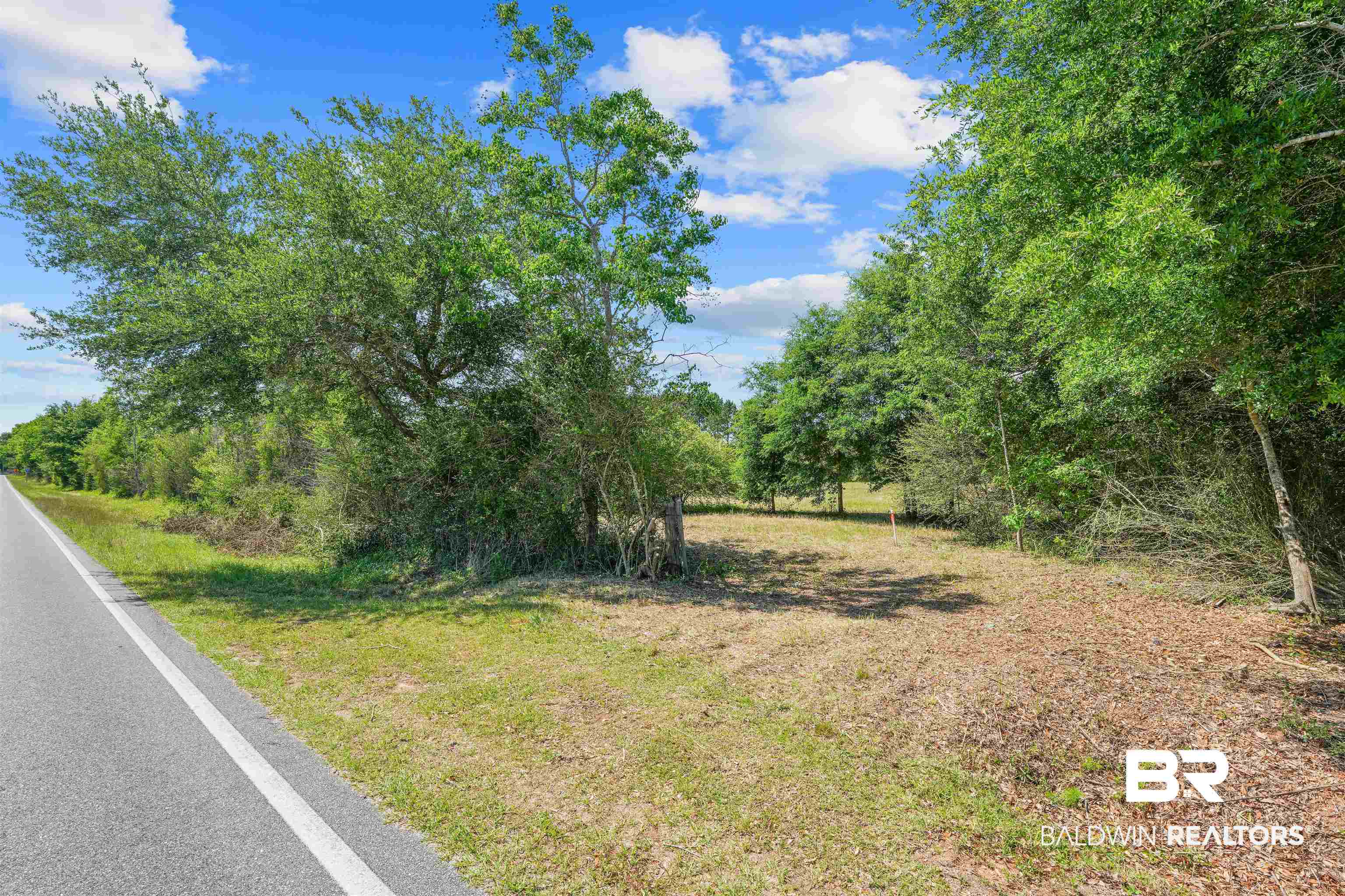 13733 White Road Silverhill, AL 36576 - Photo 2 of 26