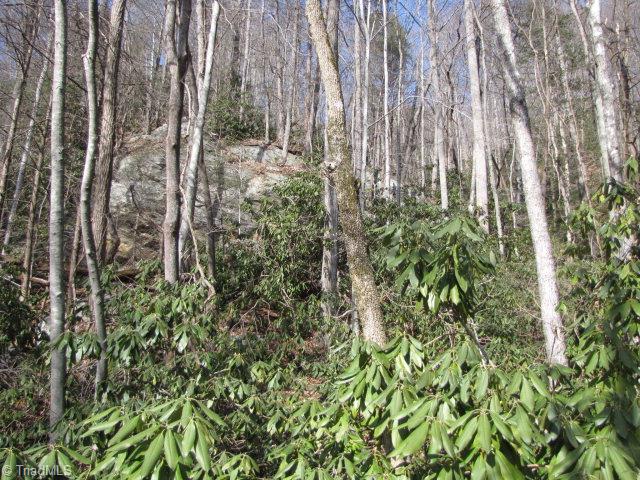 Off Off Shell Creek Road Ferguson, NC 28624 - Photo 1 of 22 Main View