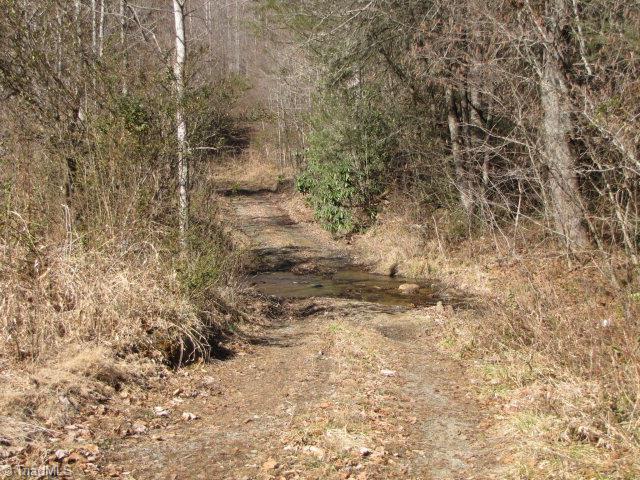Off Off Shell Creek Road Ferguson, NC 28624 - Photo 2 of 22
