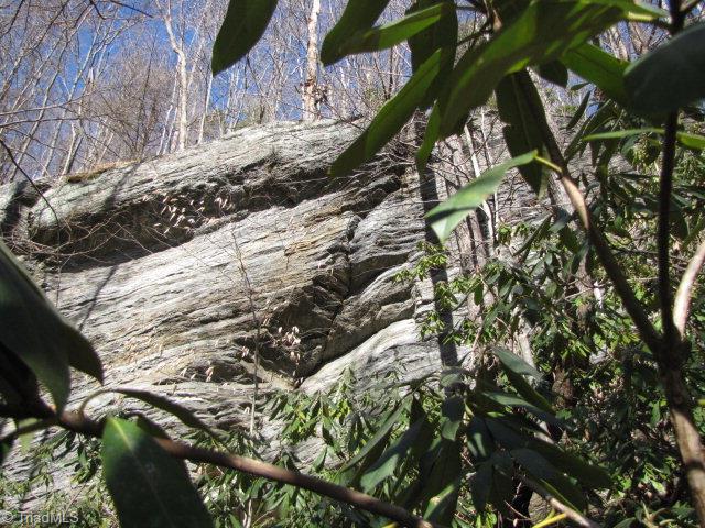 Off Off Shell Creek Road Ferguson, NC 28624 - Photo 11 of 22