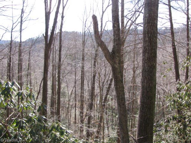 Off Off Shell Creek Road Ferguson, NC 28624 - Photo 12 of 22
