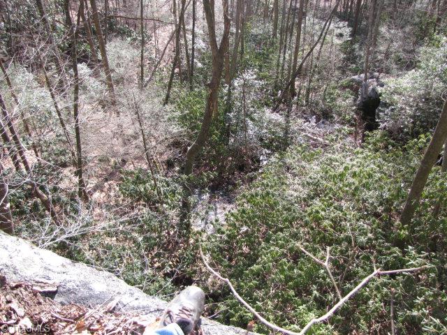 Off Off Shell Creek Road Ferguson, NC 28624 - Photo 13 of 22