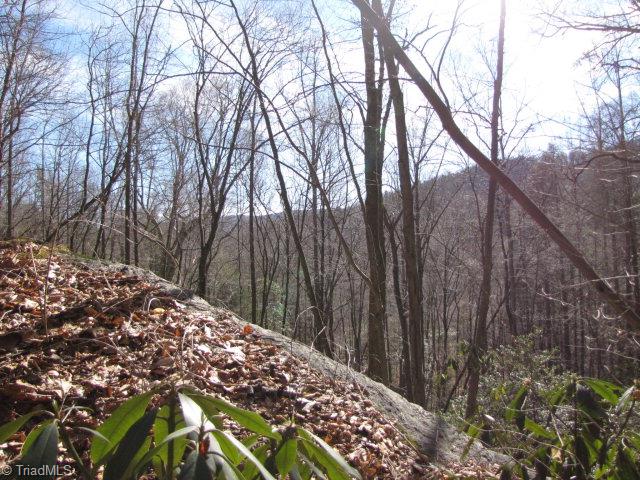 Off Off Shell Creek Road Ferguson, NC 28624 - Photo 15 of 22