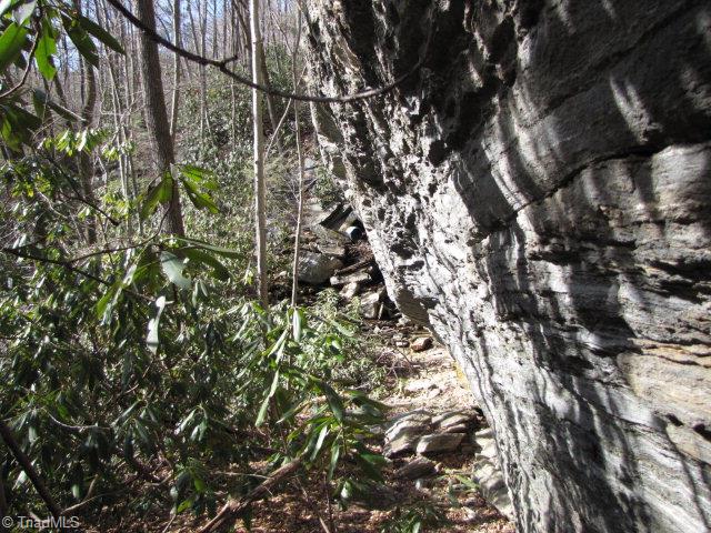 Off Off Shell Creek Road Ferguson, NC 28624 - Photo 16 of 22