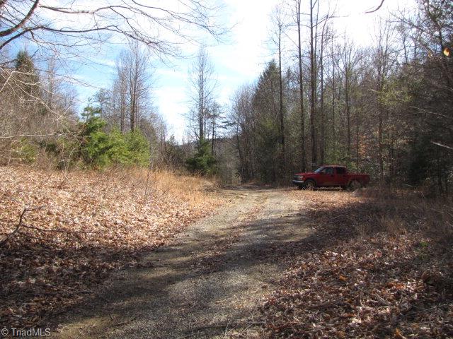 Off Off Shell Creek Road Ferguson, NC 28624 - Photo 18 of 22