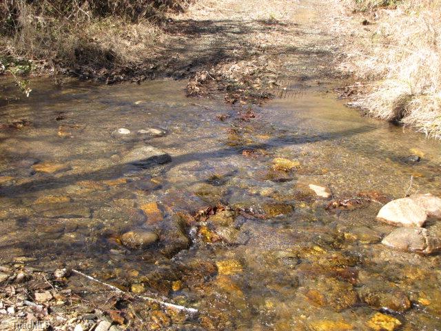 Off Off Shell Creek Road Ferguson, NC 28624 - Photo 3 of 22